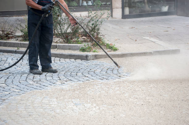 Best Pre-Holiday Cleaning  in Wooster, AR